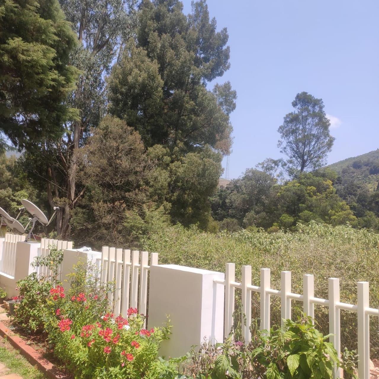 Vila Snowdrops Ooty Exteriér fotografie